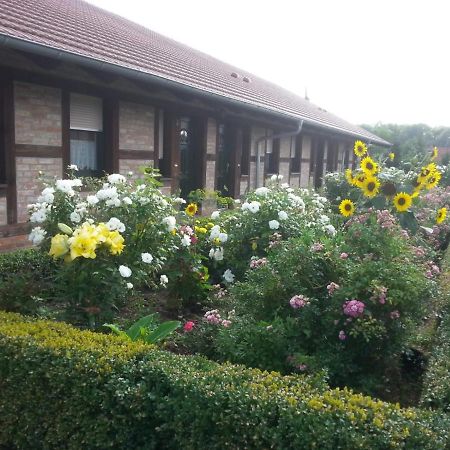 Ferienwohnung Ferienhof am Nationalpark Schöneberg Exterior foto