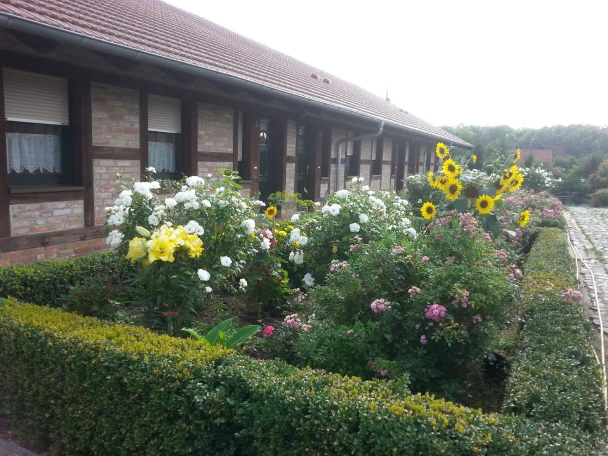 Ferienwohnung Ferienhof am Nationalpark Schöneberg Exterior foto